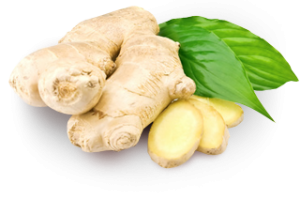 Ginger and Organic Ginger